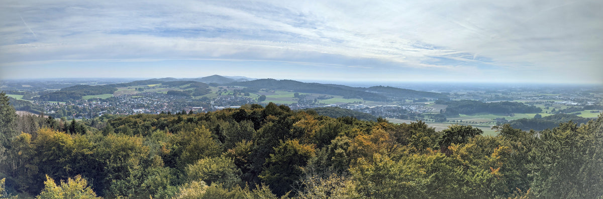 Panorama Bild, im Vordergrund ist ein Wald zu sehen. Weiter hinten Landschaft, Felder und der Ort Borgholzhausen.